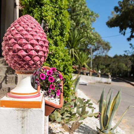 Agriturist Soleluna Caltagirone Buitenkant foto